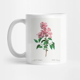 Flower by Pierre-Joseph Redouté (1759–1840). Mug